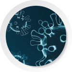 El COVID no se ha ido