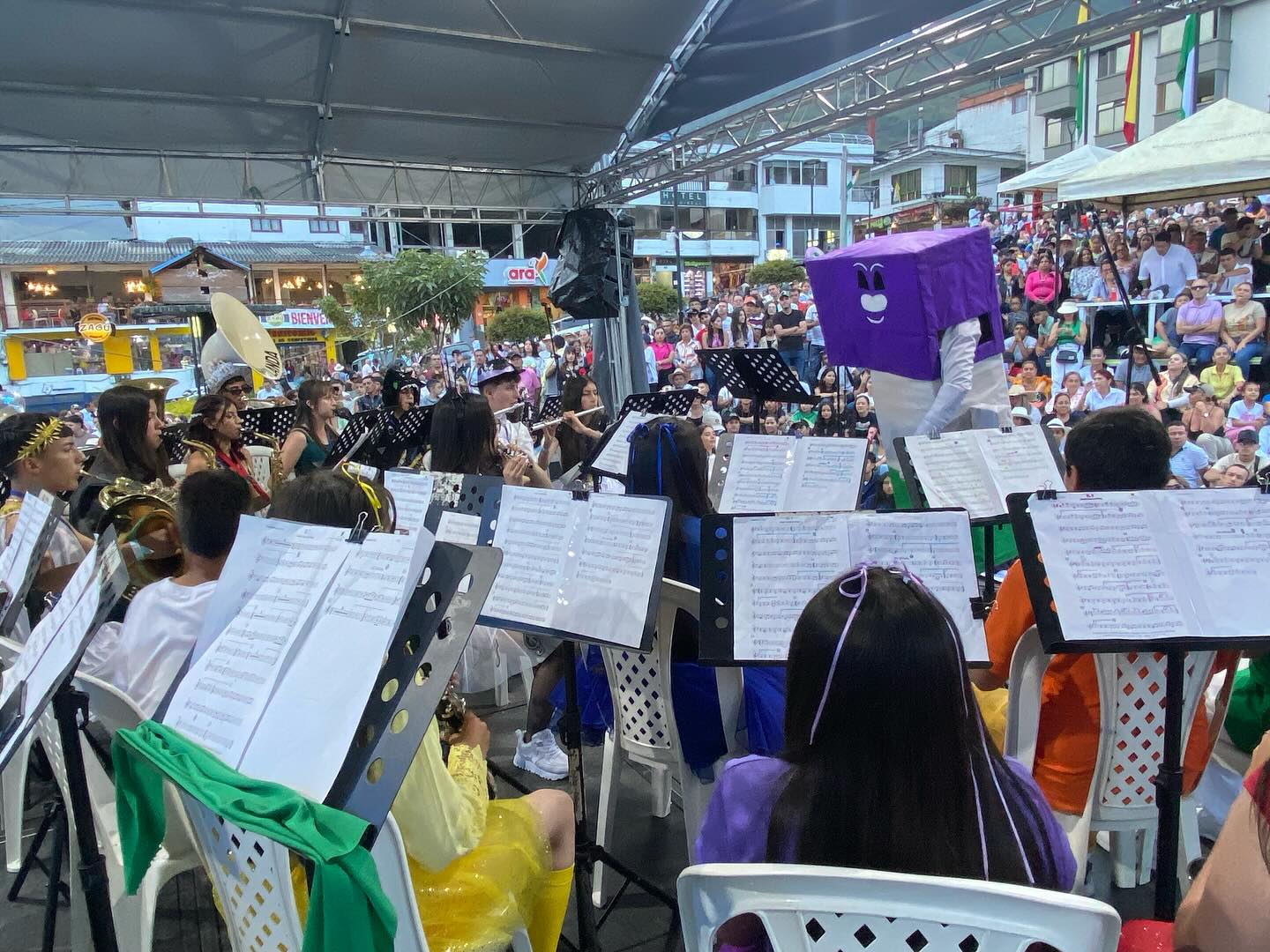BANDAS_MANZANARES06.jpg