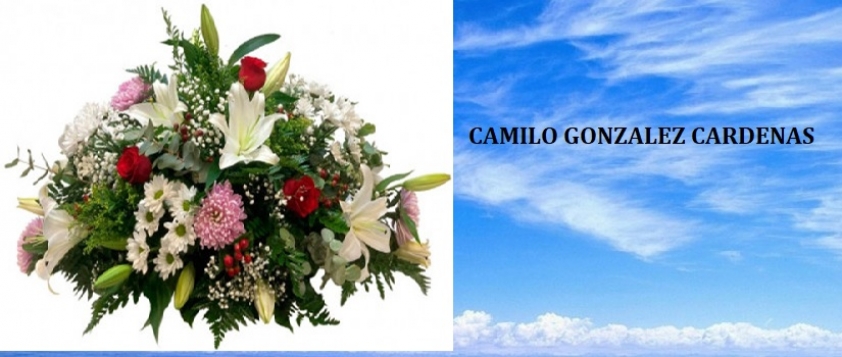 Mensaje de Condolencia por el Fallecimiento de CAMILO GONZ&Aacute;LEZ CARDENAS